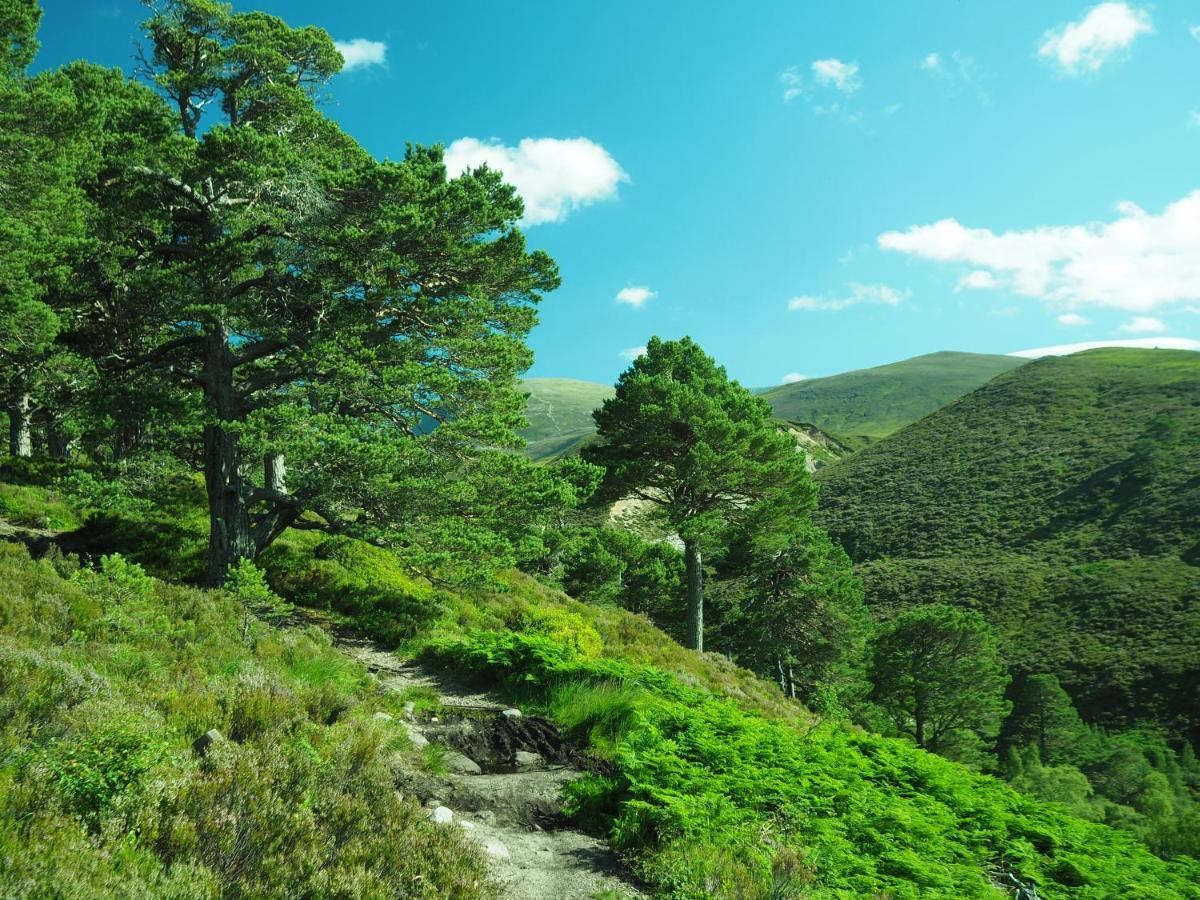 Appartamento Ptarmigan Nethy Bridge Esterno foto